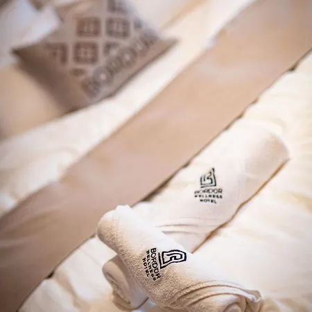 Bordur Wellness Superior Es Szonyegmuzeum Hotel Békésszentandrás